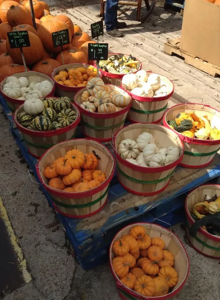 Colorful buckets of assorted fresh produce at a market stall on a blue tarp