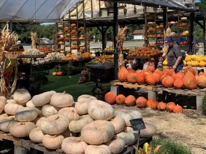 Pumpkins and gourds are stacked at a farm stand under a greenhouse roof, with a person arranging produce.