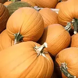 Pile of orange pumpkins with green stems, stacked closely together outdoors