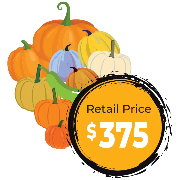 Autumn Delight - Assorted pumpkins with a “Retail Price $375” label