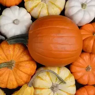 Assorted orange, white, and yellow pumpkins stacked together in a close-up display