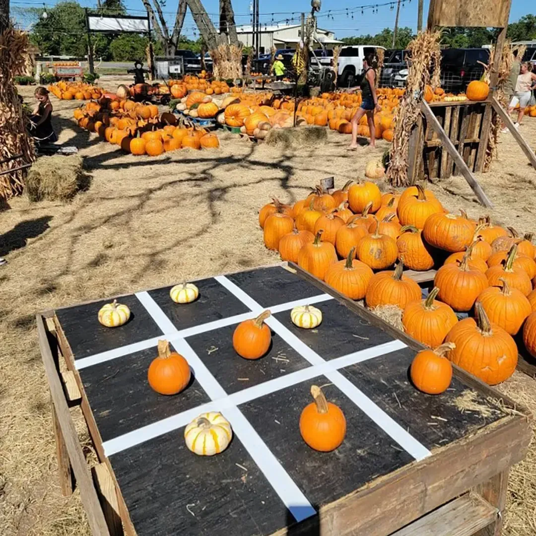 Pumpkin patch with a tic-tac-toe game board in the foreground and pumpkins stacked nearby