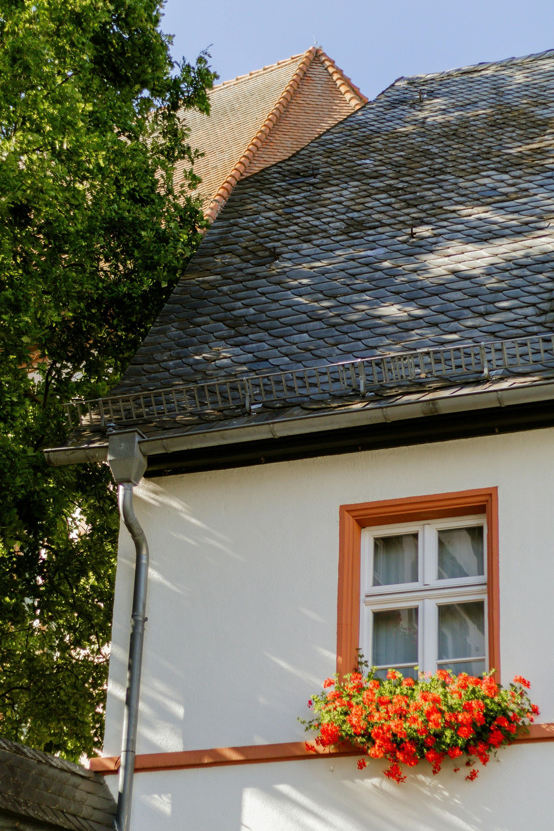 White house facade with orange-trimmed window and flower box under a slate roof, framed by a leafy tree