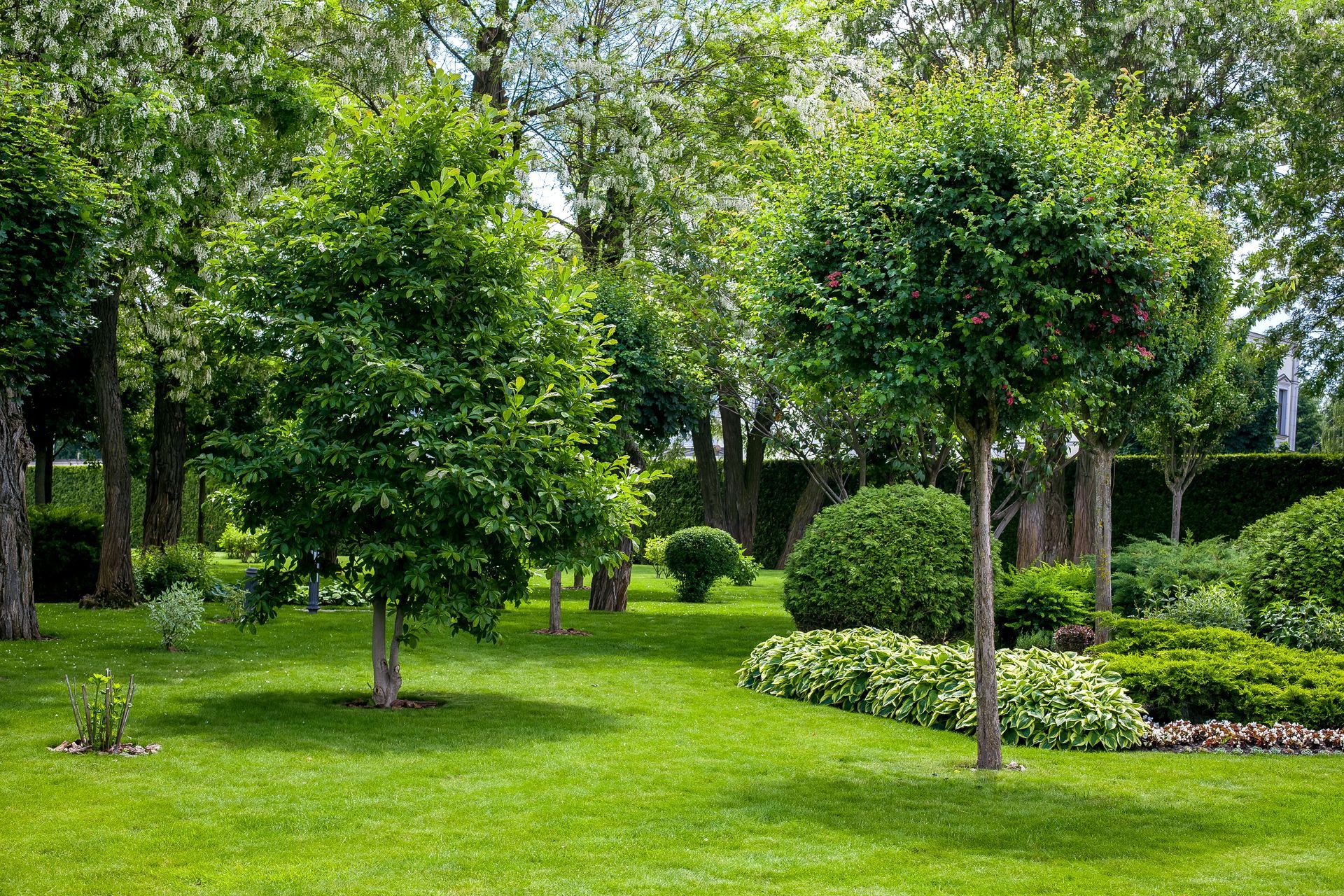 Lush green park with manicured trees, shrubs, and bright grass in sunlight