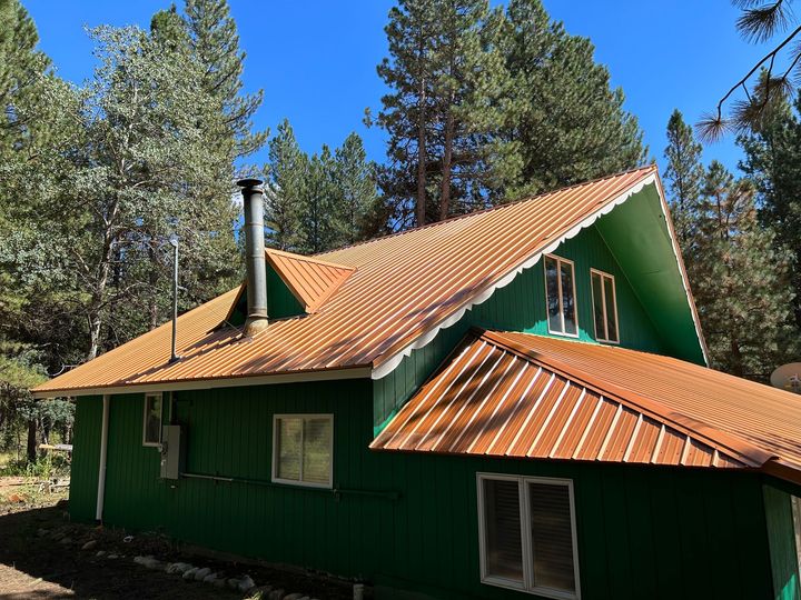 Green house with orange metal roof in a pine forest under a clear blue sky