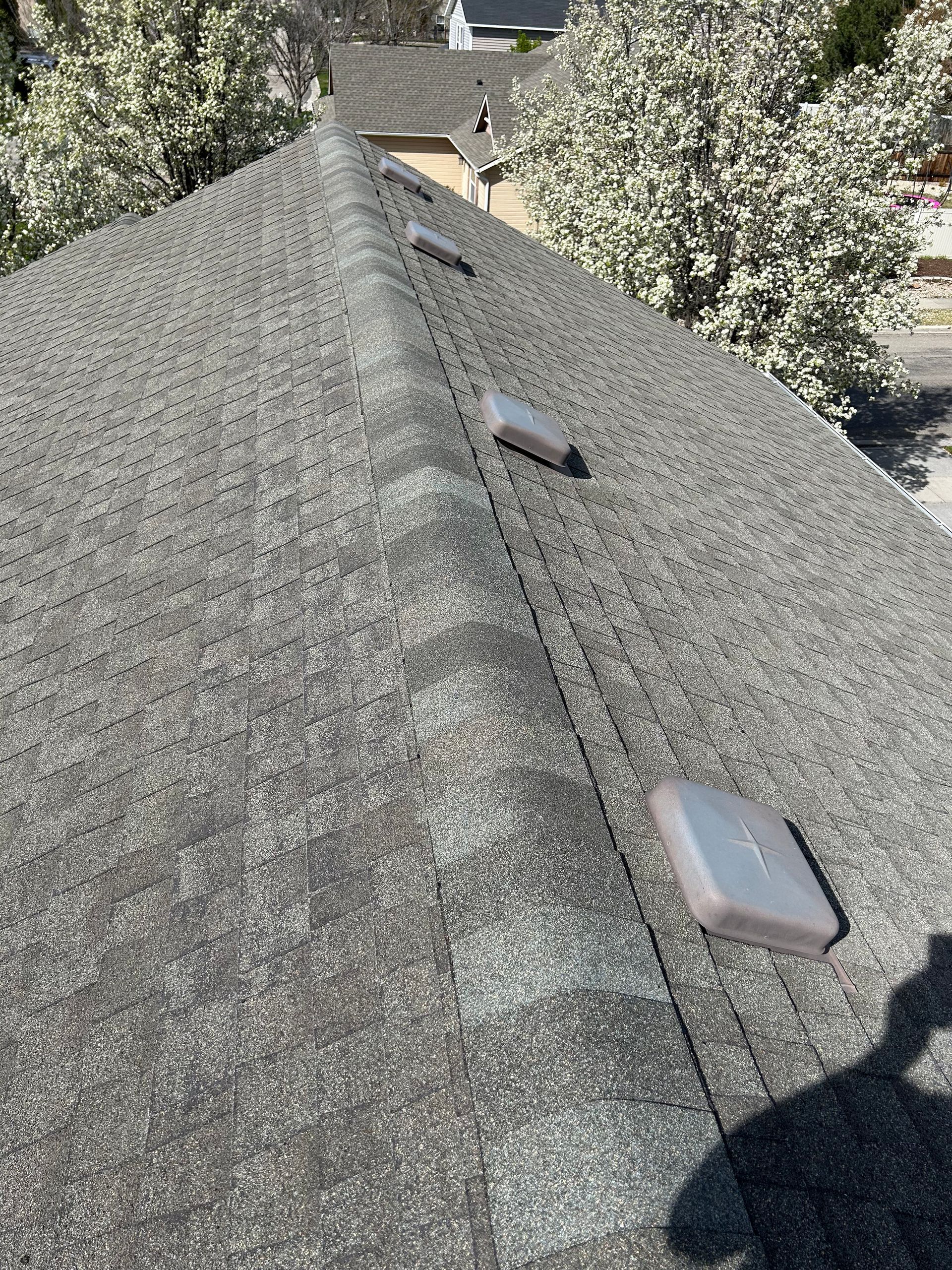 Steep gray shingled roof with two skylights and trees in the background