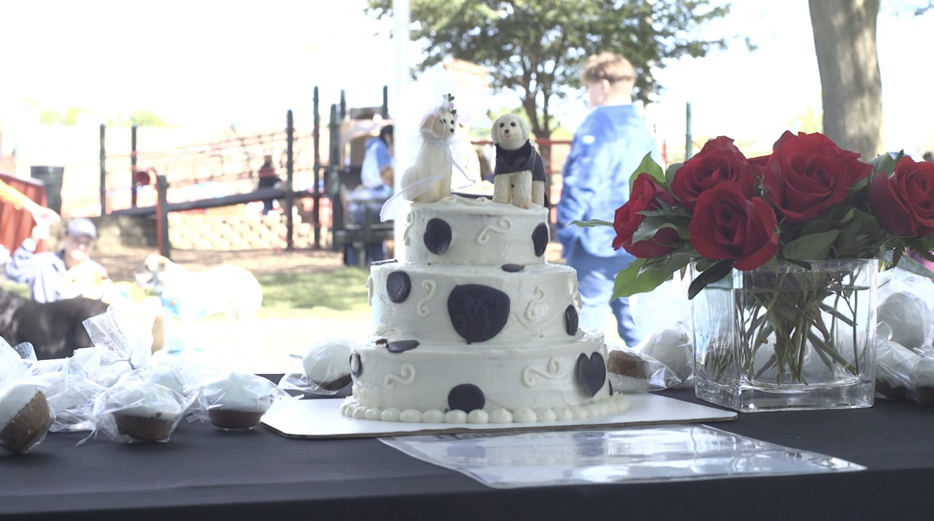 A wedding cake with two dogs on top of it is on a table.