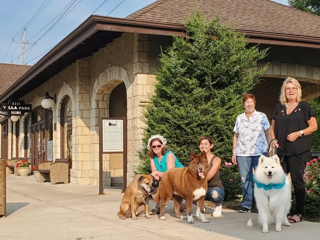 A group of people and their dogs are standing in front of a building.