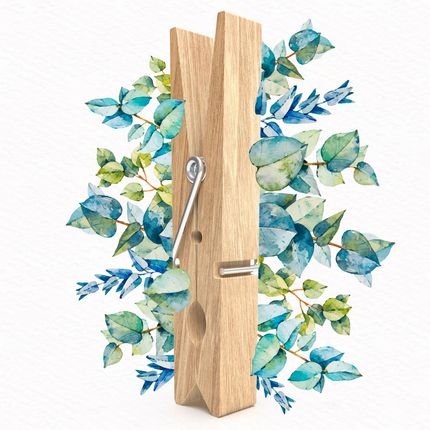 The perfect clothes peg for arts and crafts to those who have e nvironmental concerns Lady Stendal - Wood clothes peg