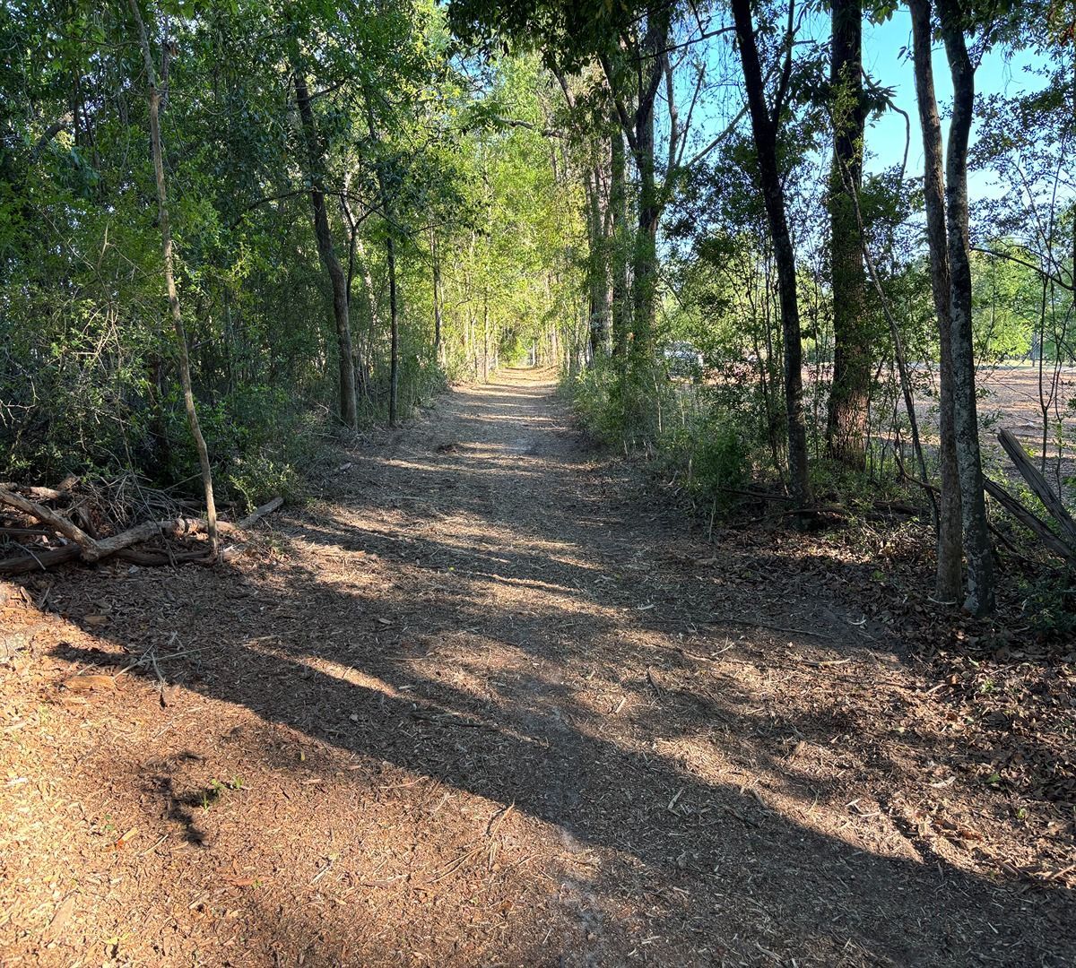Sunlit dirt path through a wooded area with trees and shadows