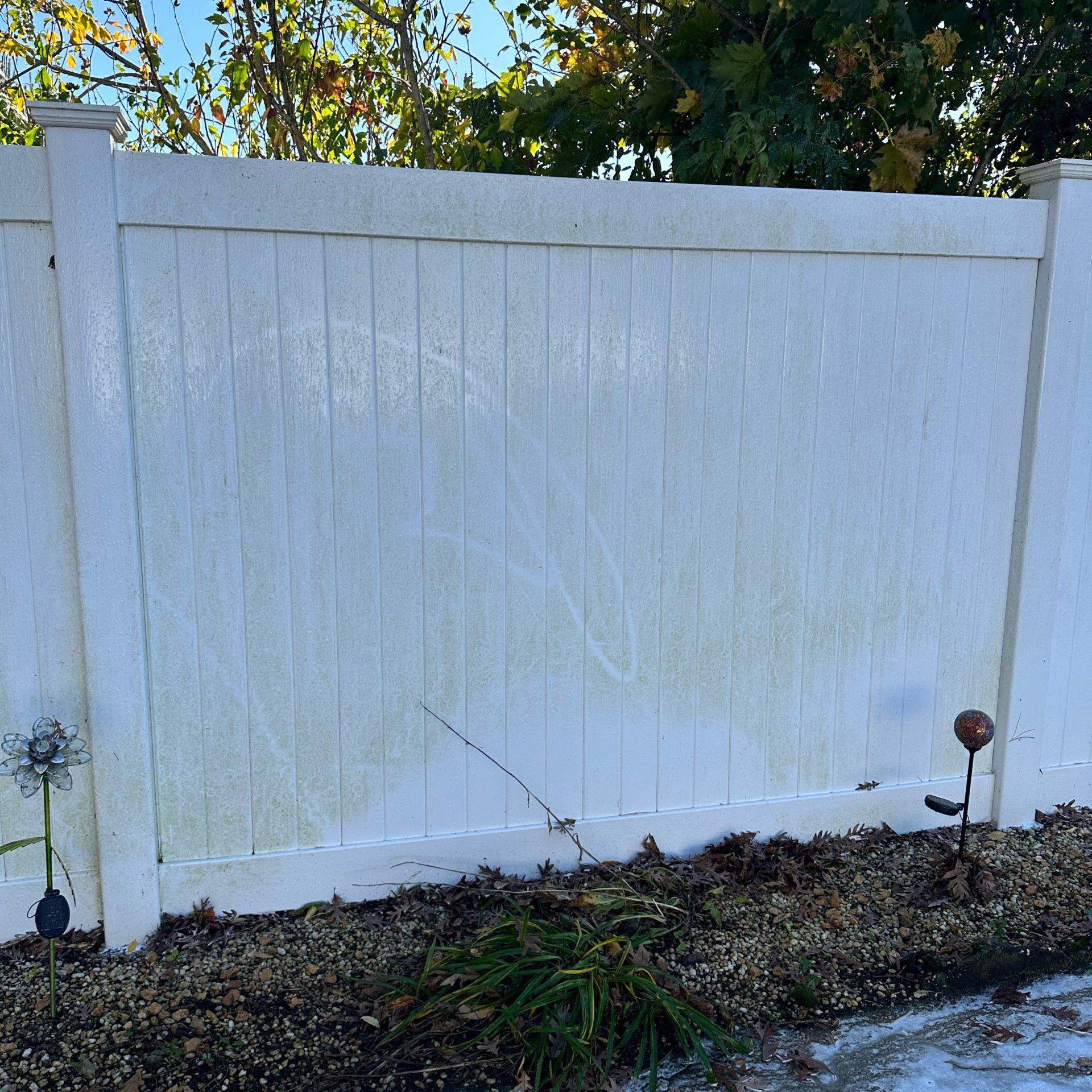 DIRTY FENCE SOFT WASH
