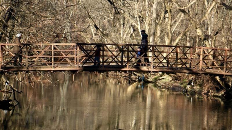 People walking on a wooden footbridge over calm water in a wooded area