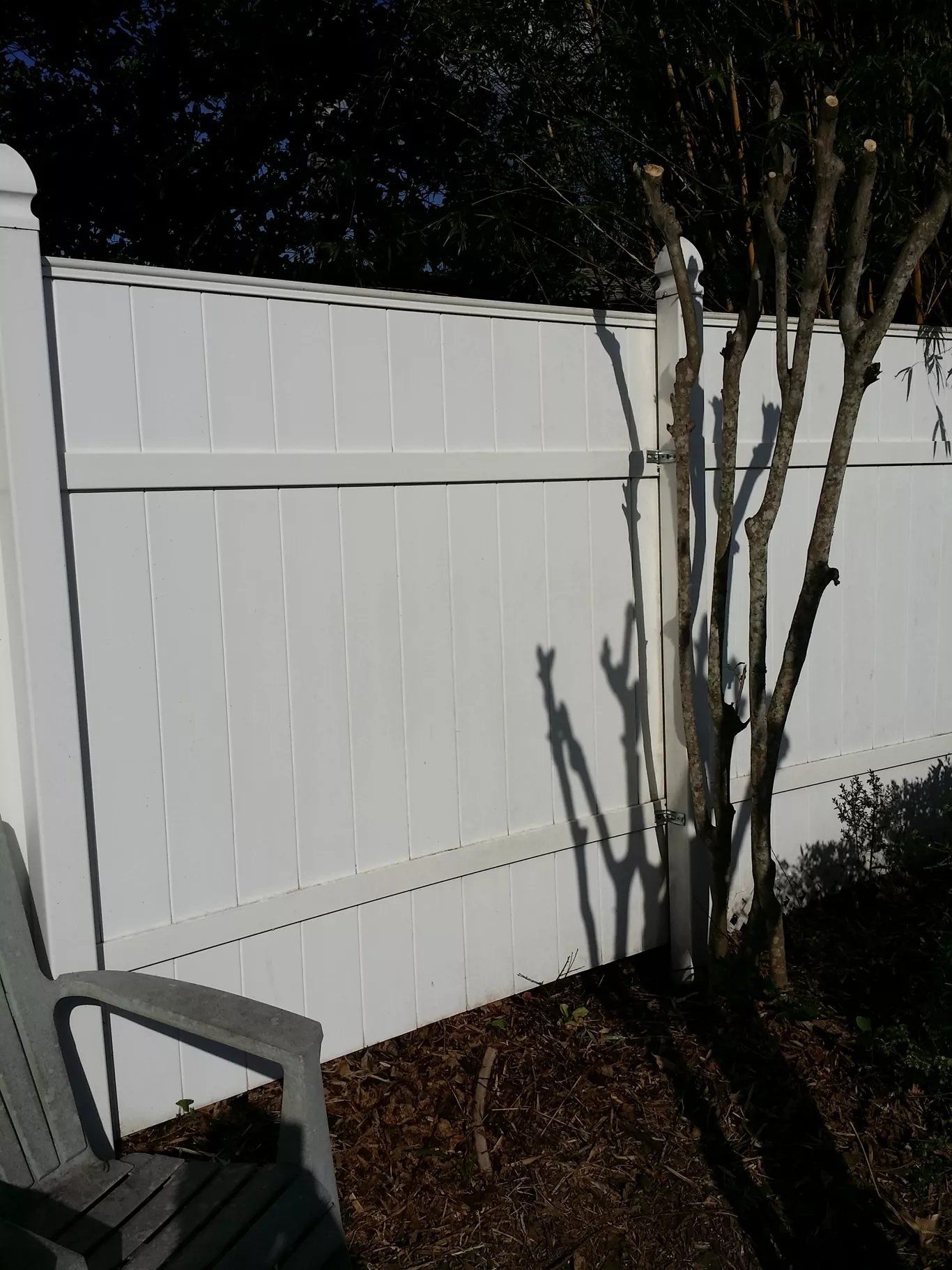 After Fence Cleaning