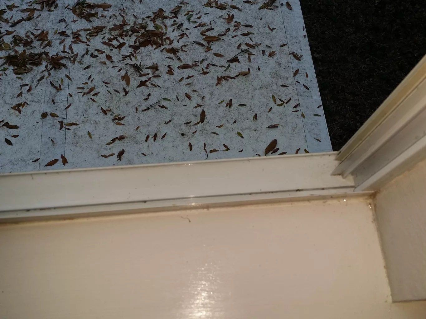 After Bathroom Cleaning