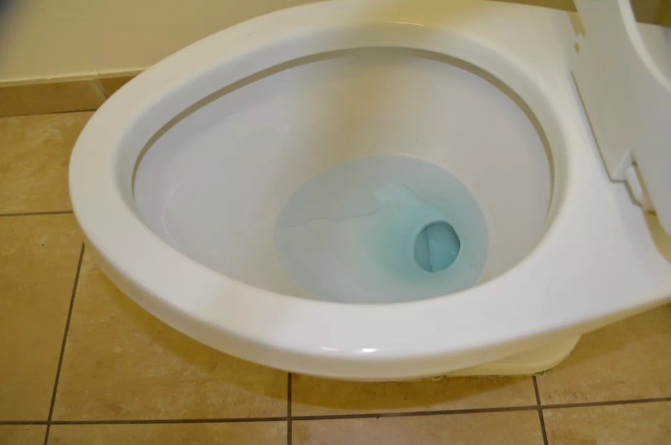 After Toilet Bowl Cleaning