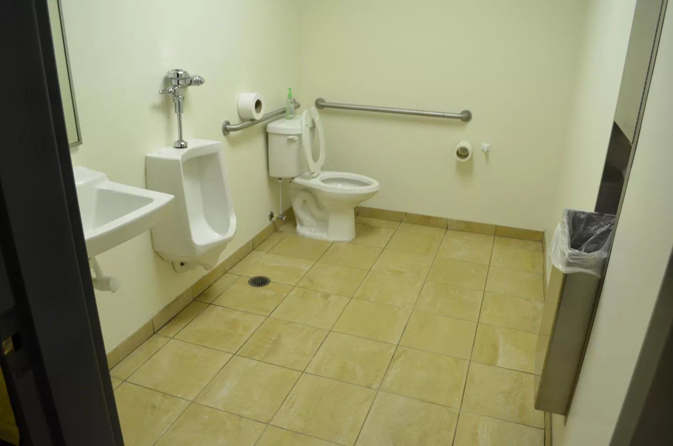 After Toilet Cleaning
