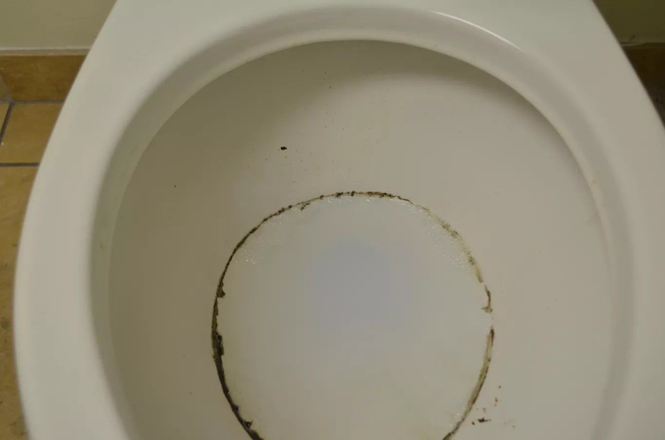 Before Toilet Bowl Cleaning