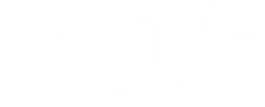 Auto Shop Logo | David's Automotive