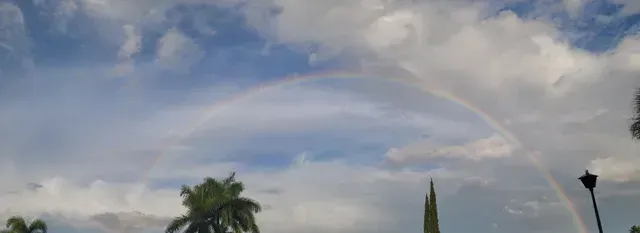 A double rainbow is visible in the sky above trees.