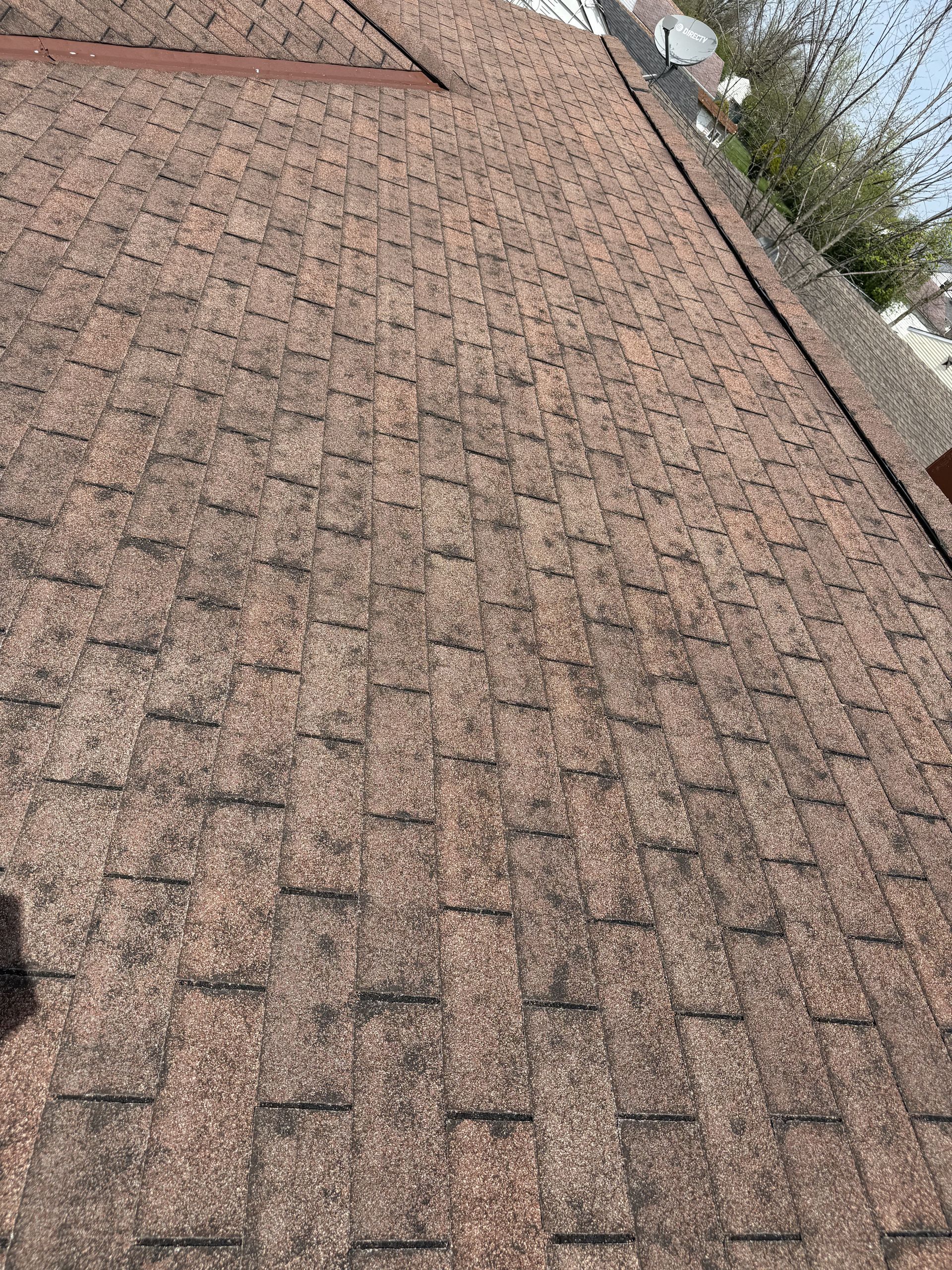 Asphalt shingle roof showing visible hail impact marks and storm damage across roofing surface