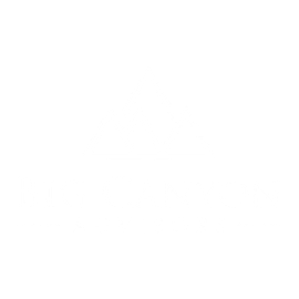 Big Canyon Advisors logo