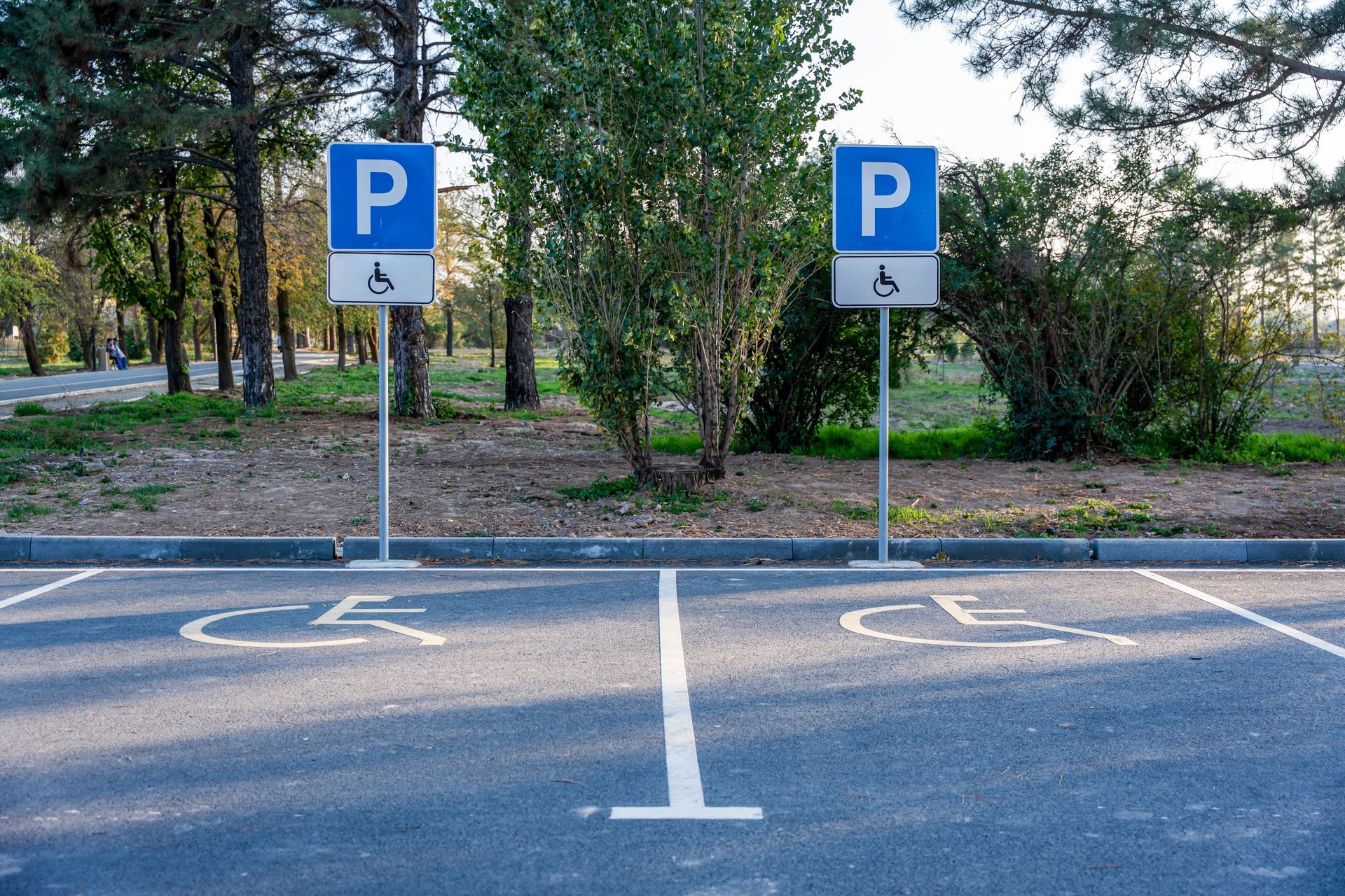 parking spaces with signs and wheelchair road markings in a park area