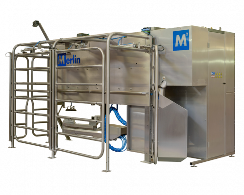 A cow is being milked by a robotic milking machine.