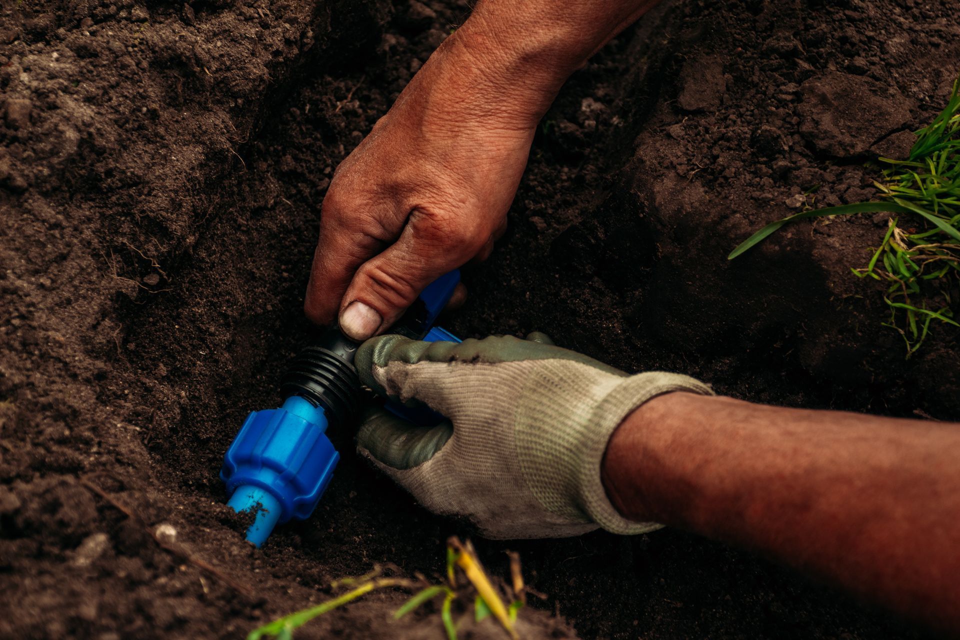 Hands planting a blue sprinkler in dark soil outdoors