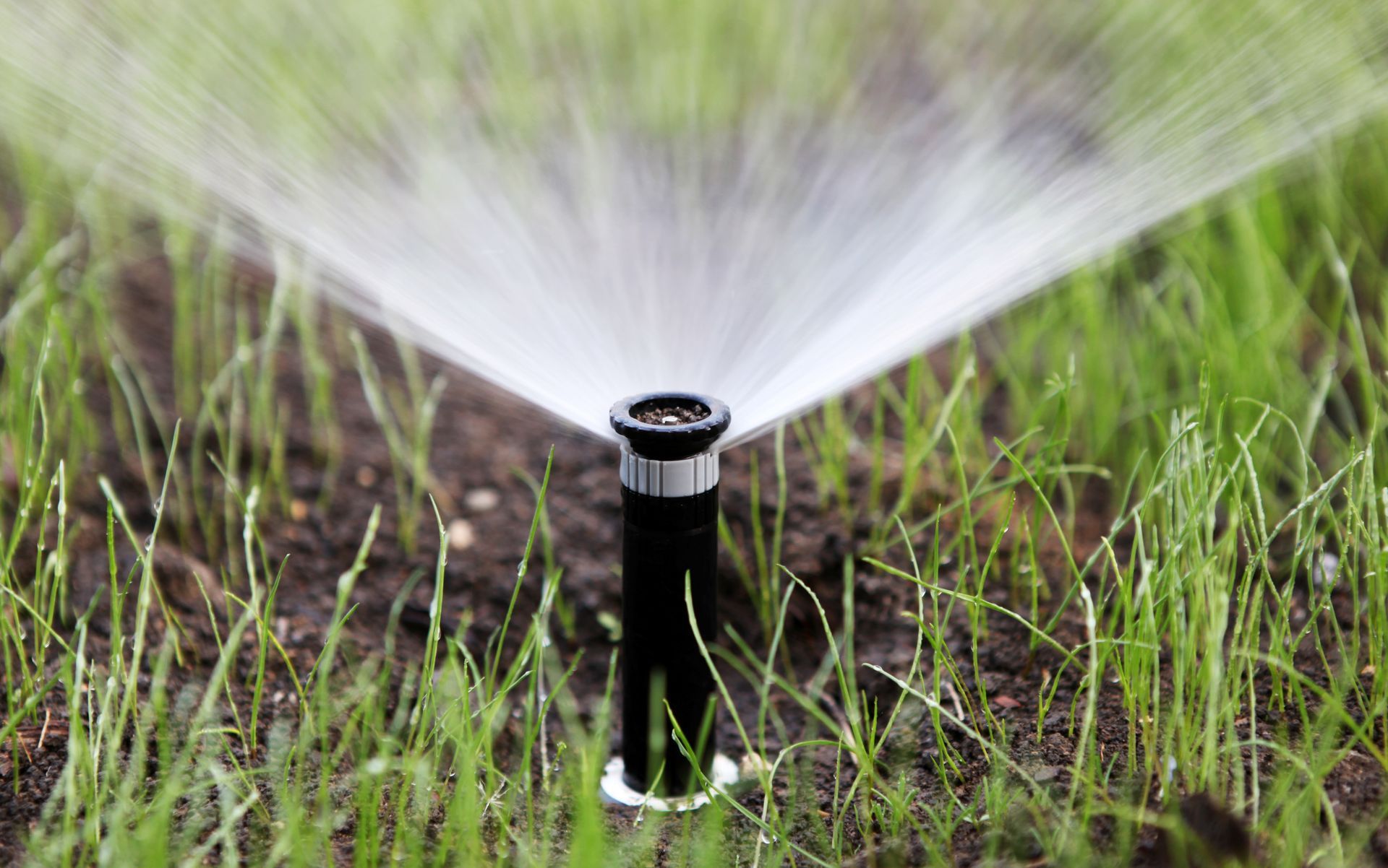 Lawn sprinkler spraying water over green grass in a garden bed