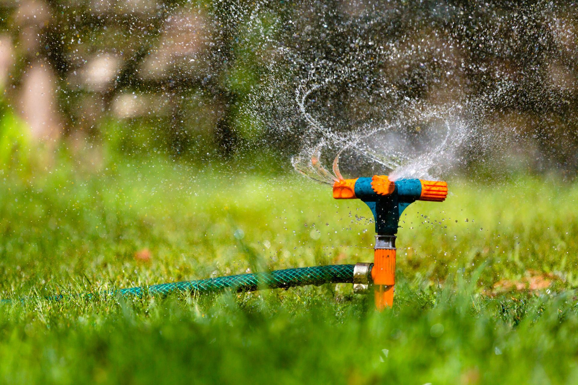 Colorful lawn sprinkler spraying water in a grassy yard