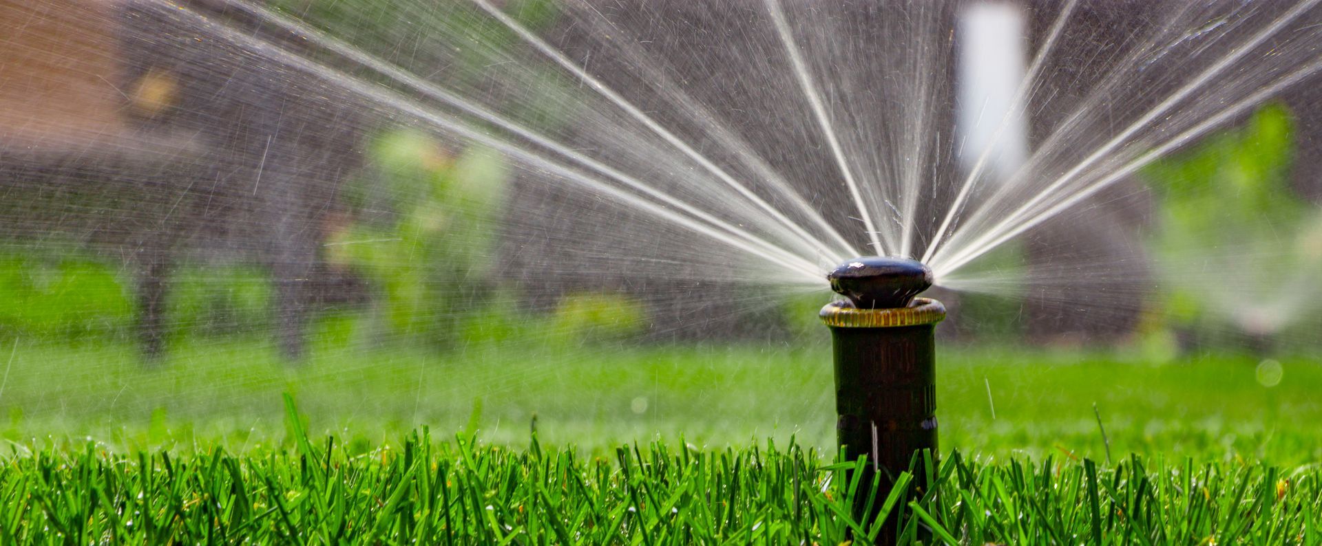 Sprinkler spraying water over a green lawn in a garden