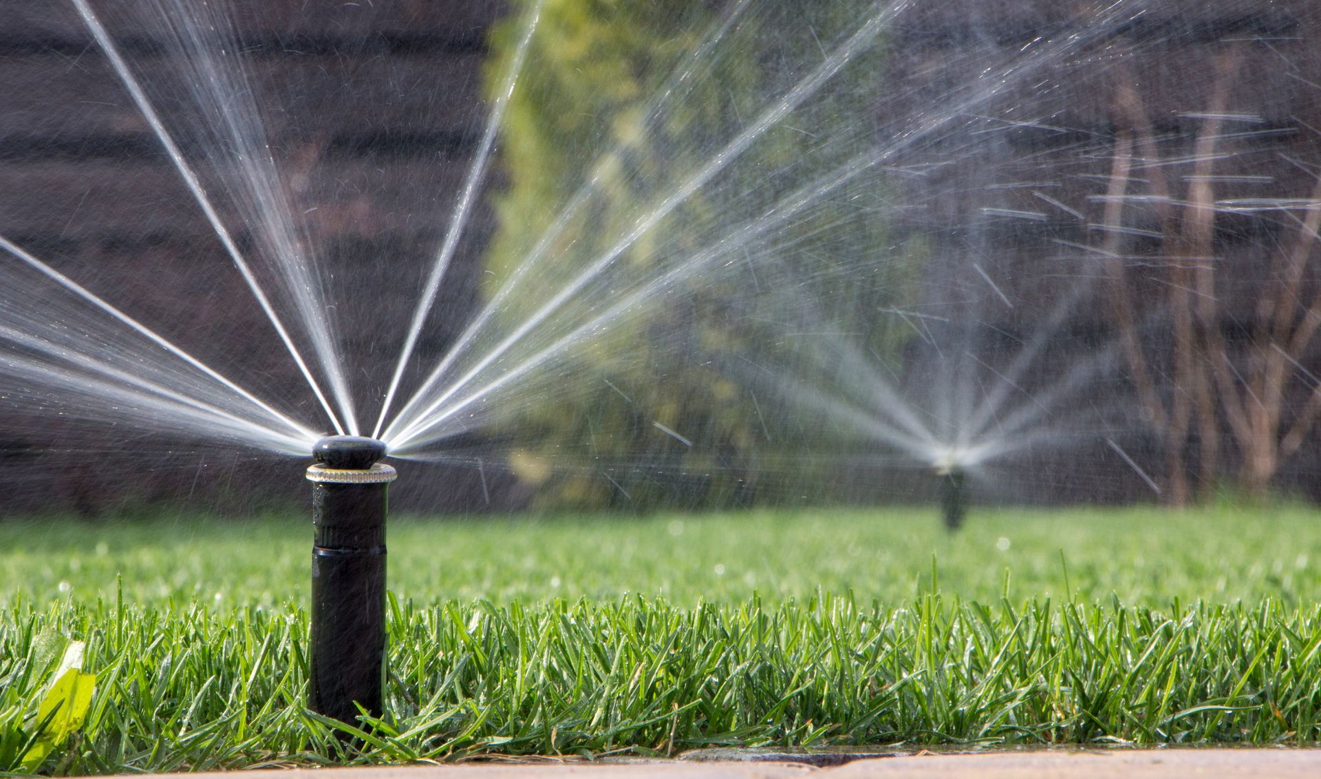 Lawn sprinkler watering green grass with streams spraying outward in a yard