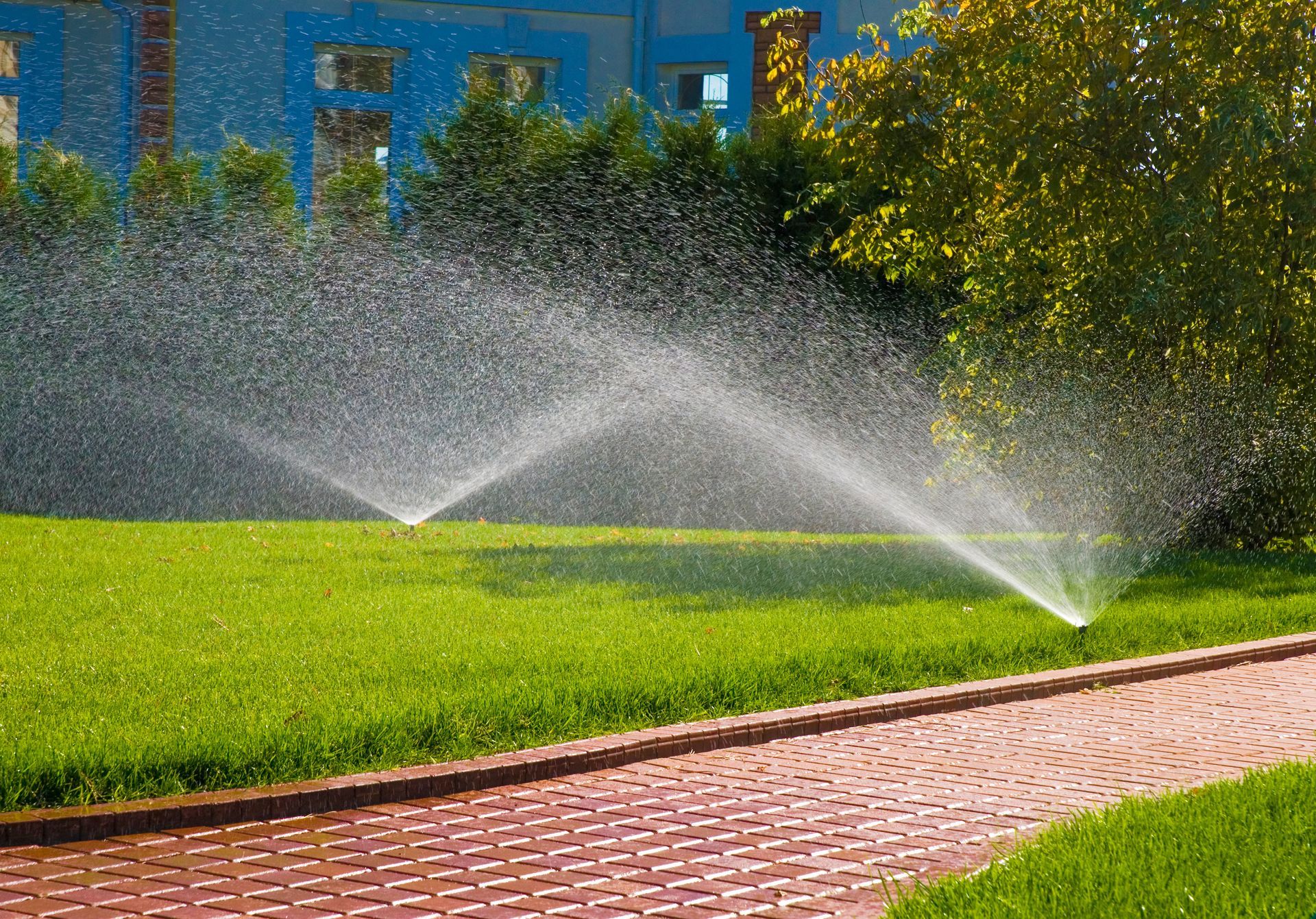 Sprinklers watering a green lawn beside a brick path and building