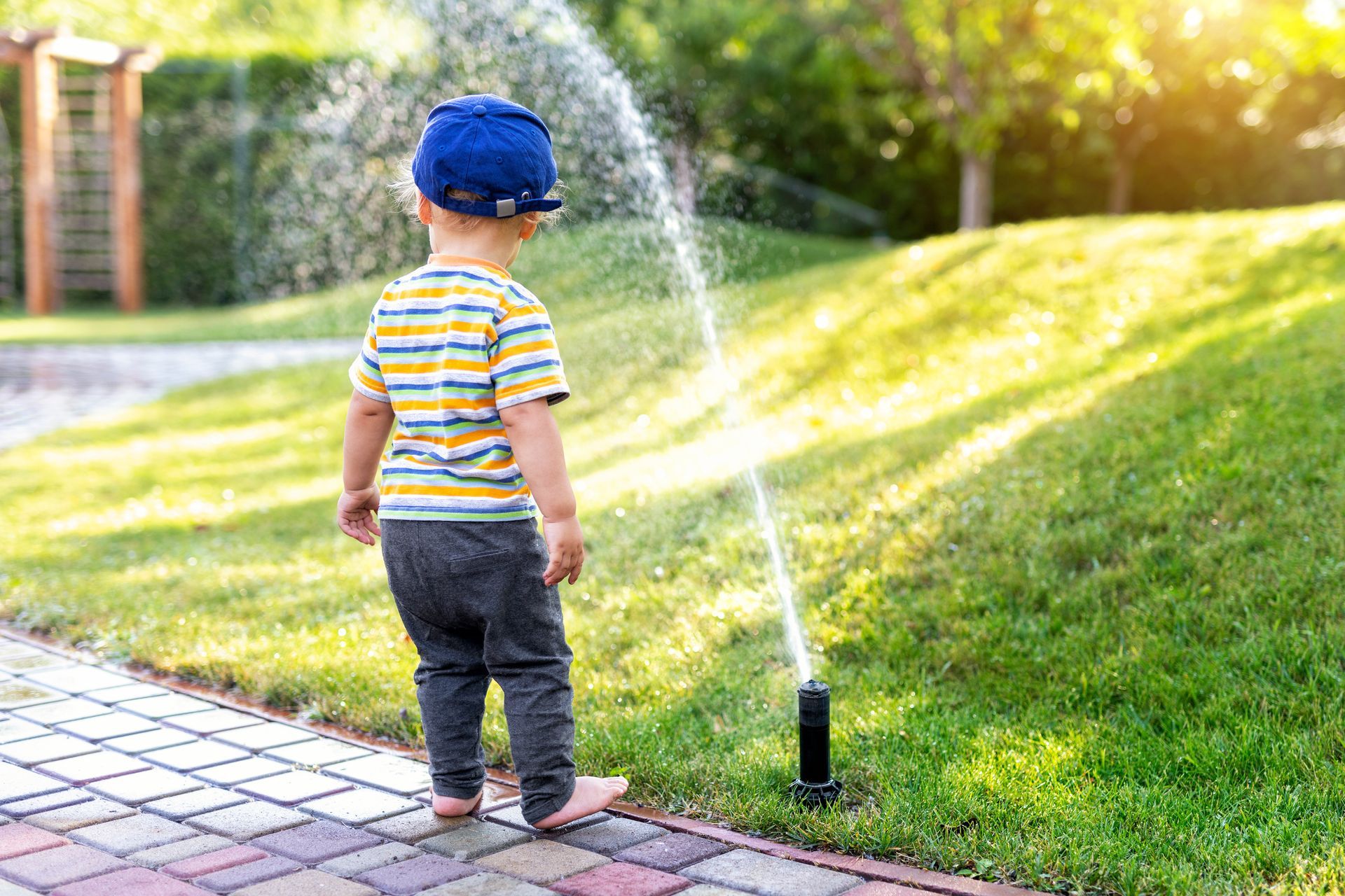 Residential sprinkler system watering a lawn in Central Florida