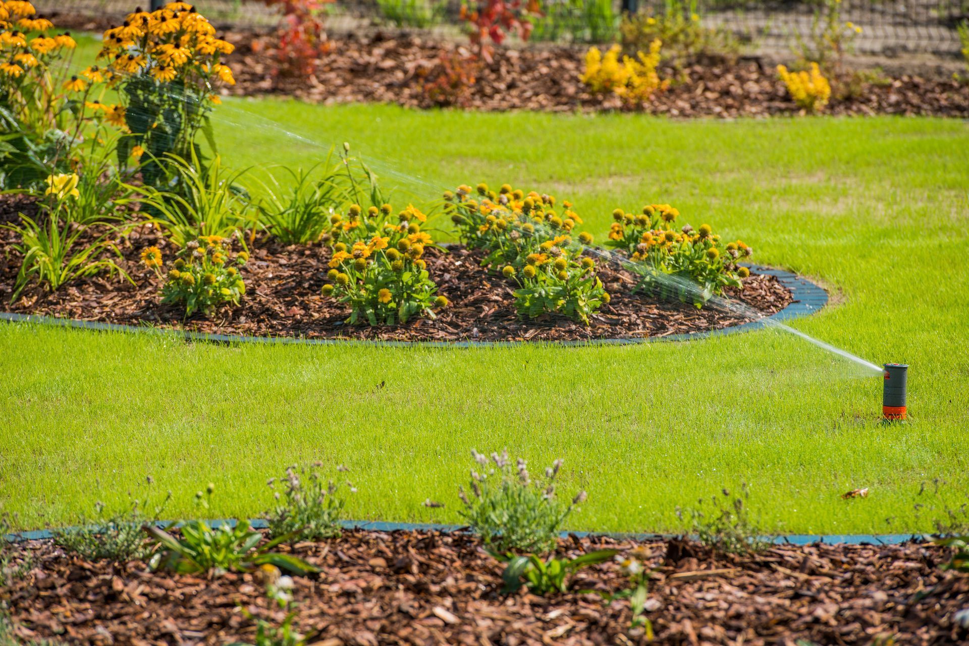 Rain-soaked landscaped garden with bright flower beds, green lawn, and a sprinkler head in the foreground