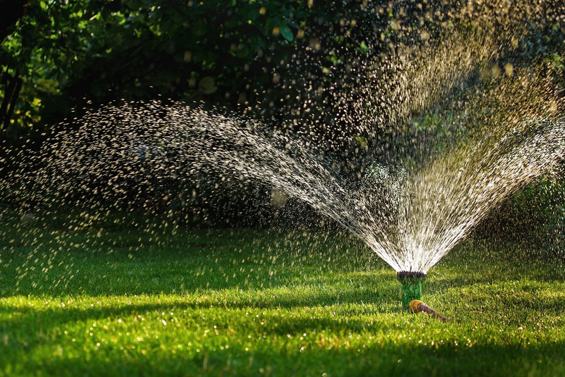Garden sprinkler spraying water over a lush green lawn in bright sunlight