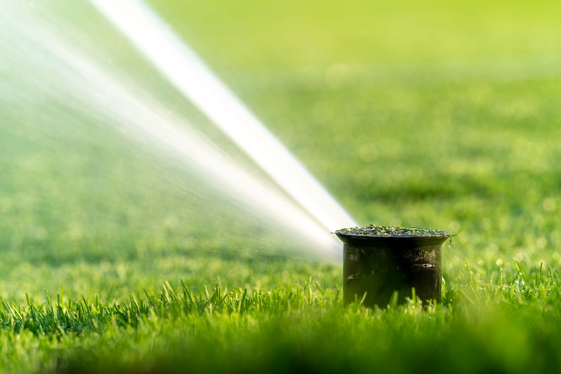 Sprinkler watering a green lawn in bright sunlight