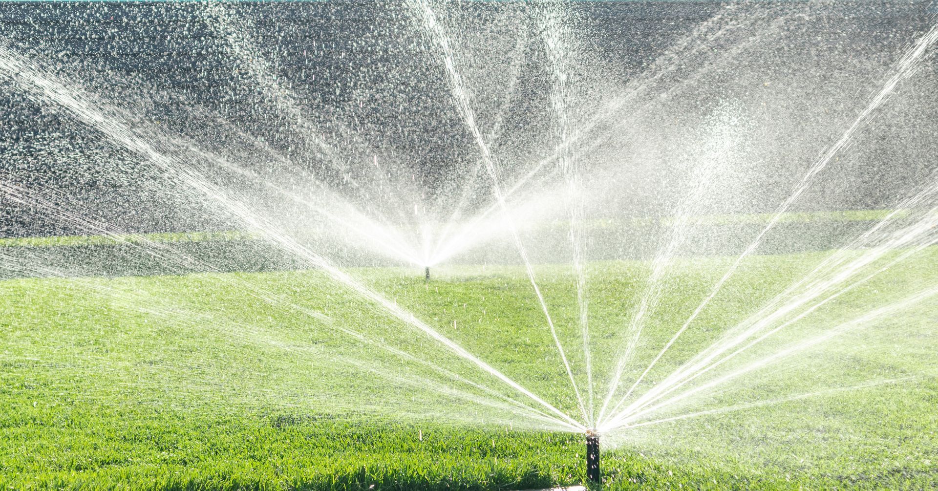 Two lawn sprinklers spraying water over a green field