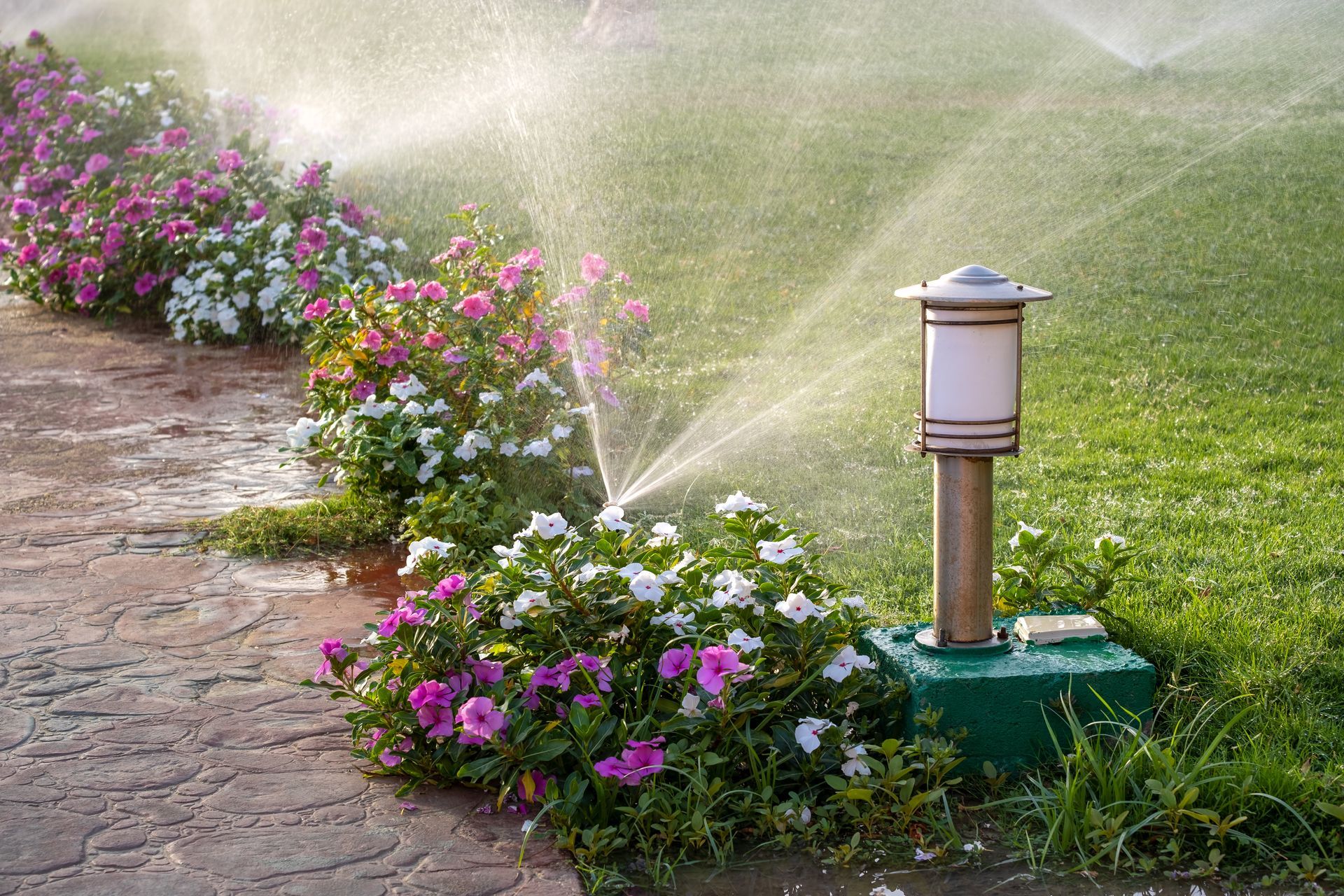 Garden sprinkler watering colorful flowers along a stone path at dusk Garden sprinkler watering colorful flowers along a stone path at dusk
