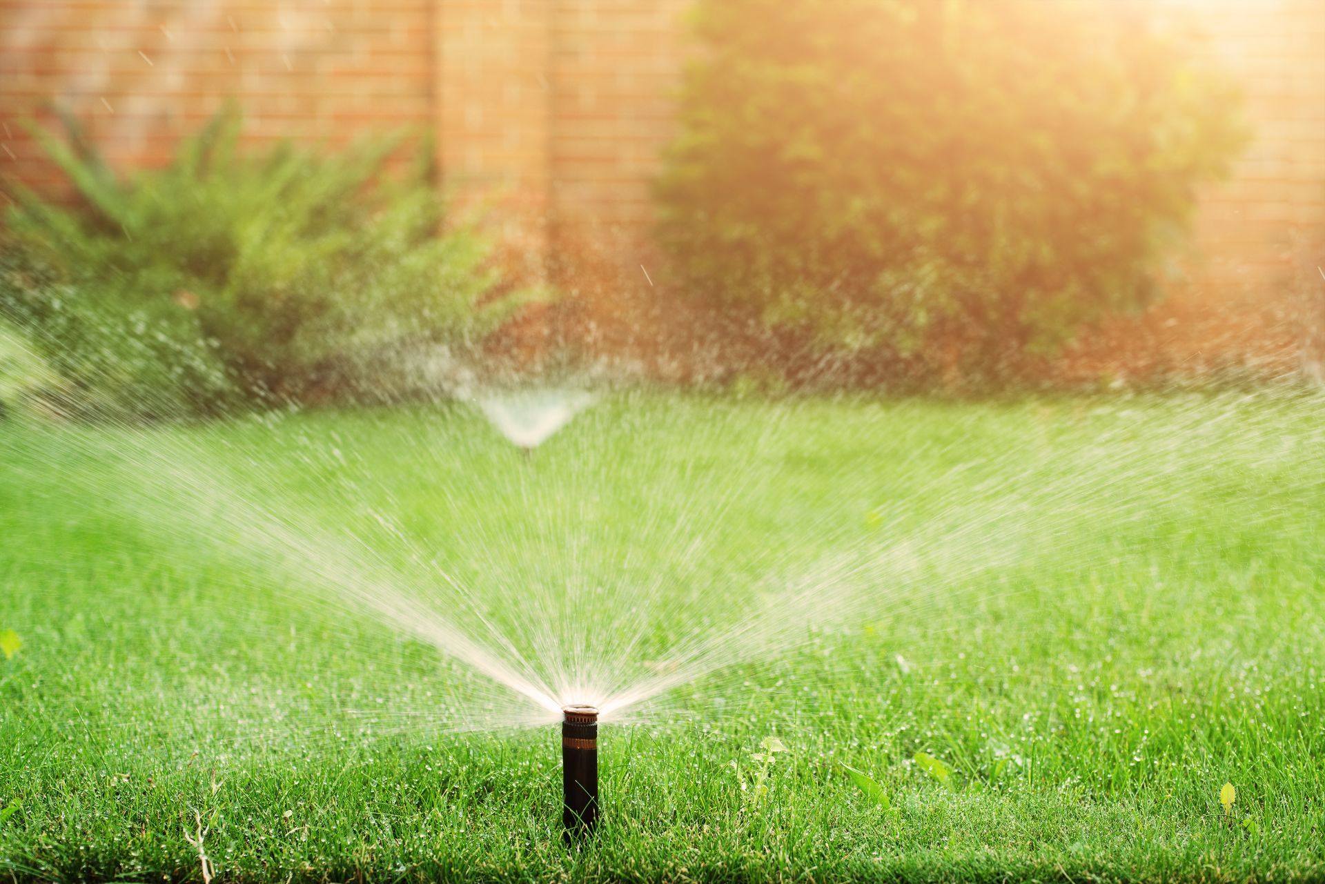 Sprinkler spraying water over a green lawn in a sunny garden