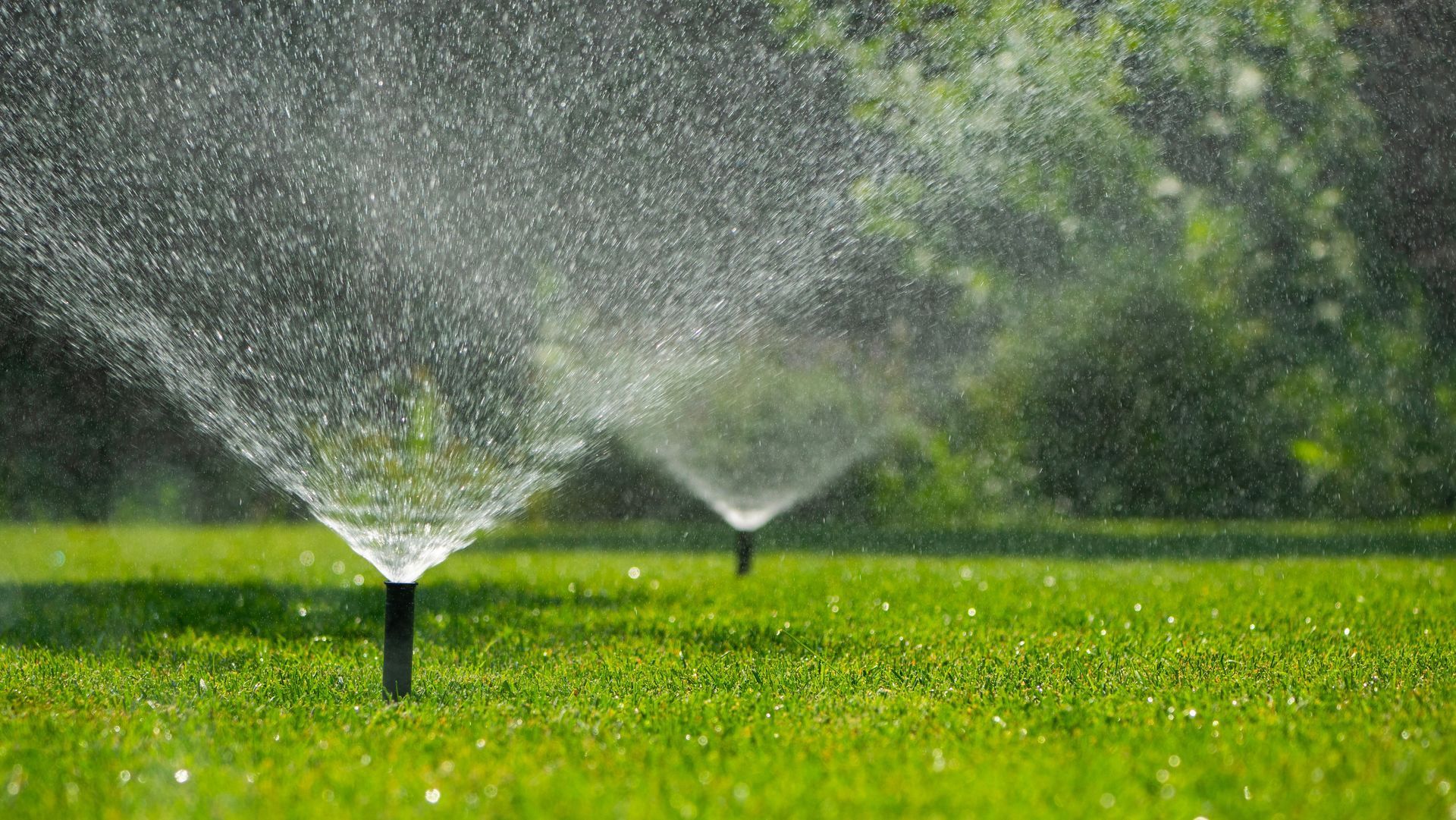 Sprinklers spraying water across a bright green lawn in a park