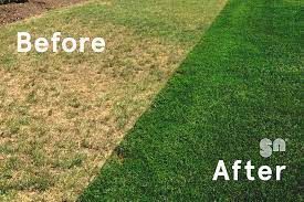 Before and after results of professional lawn irrigation services