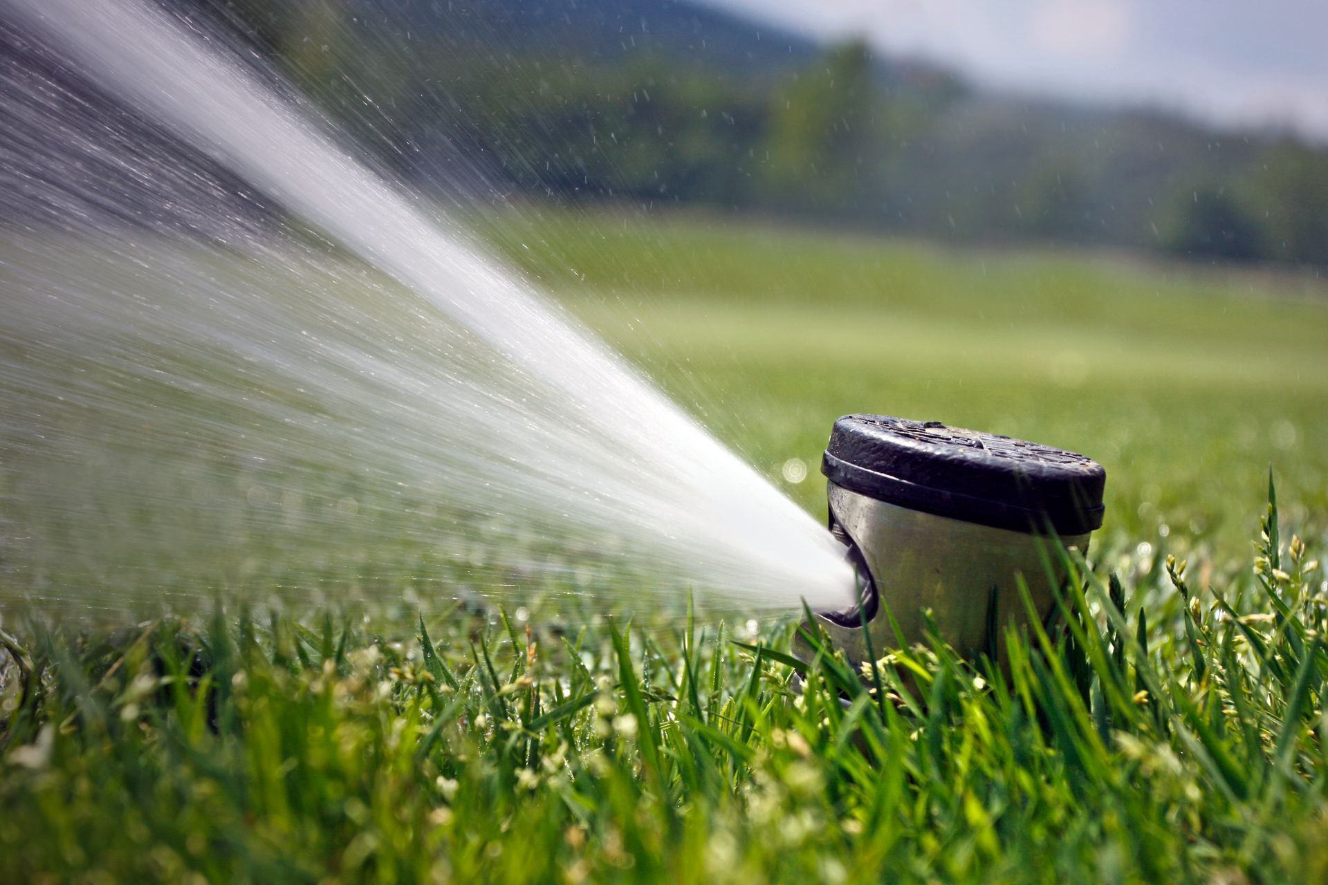 Lawn sprinkler spraying water over green grass in a sunny field