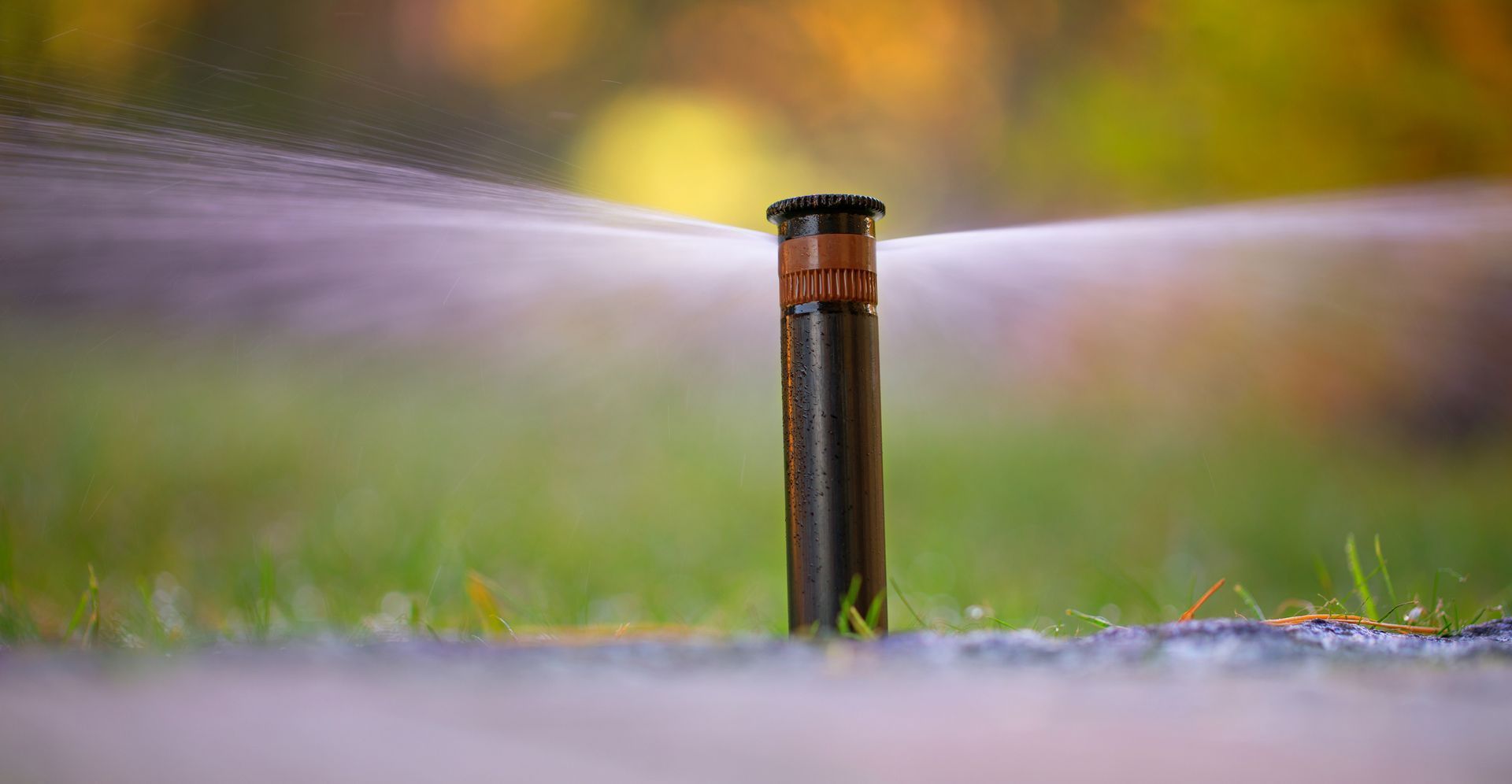 Sprinkler spraying water over a green lawn at dusk