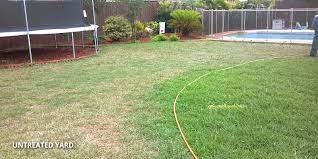 Backyard lawn with a hose and above-ground pool near a wooden fence