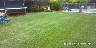 Backyard lawn beside a fenced pool, with trampoline and lounge chair in the background.