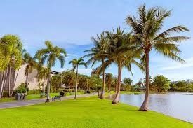 Palm trees lining a bright green lawn beside a calm waterfront under a blue sky