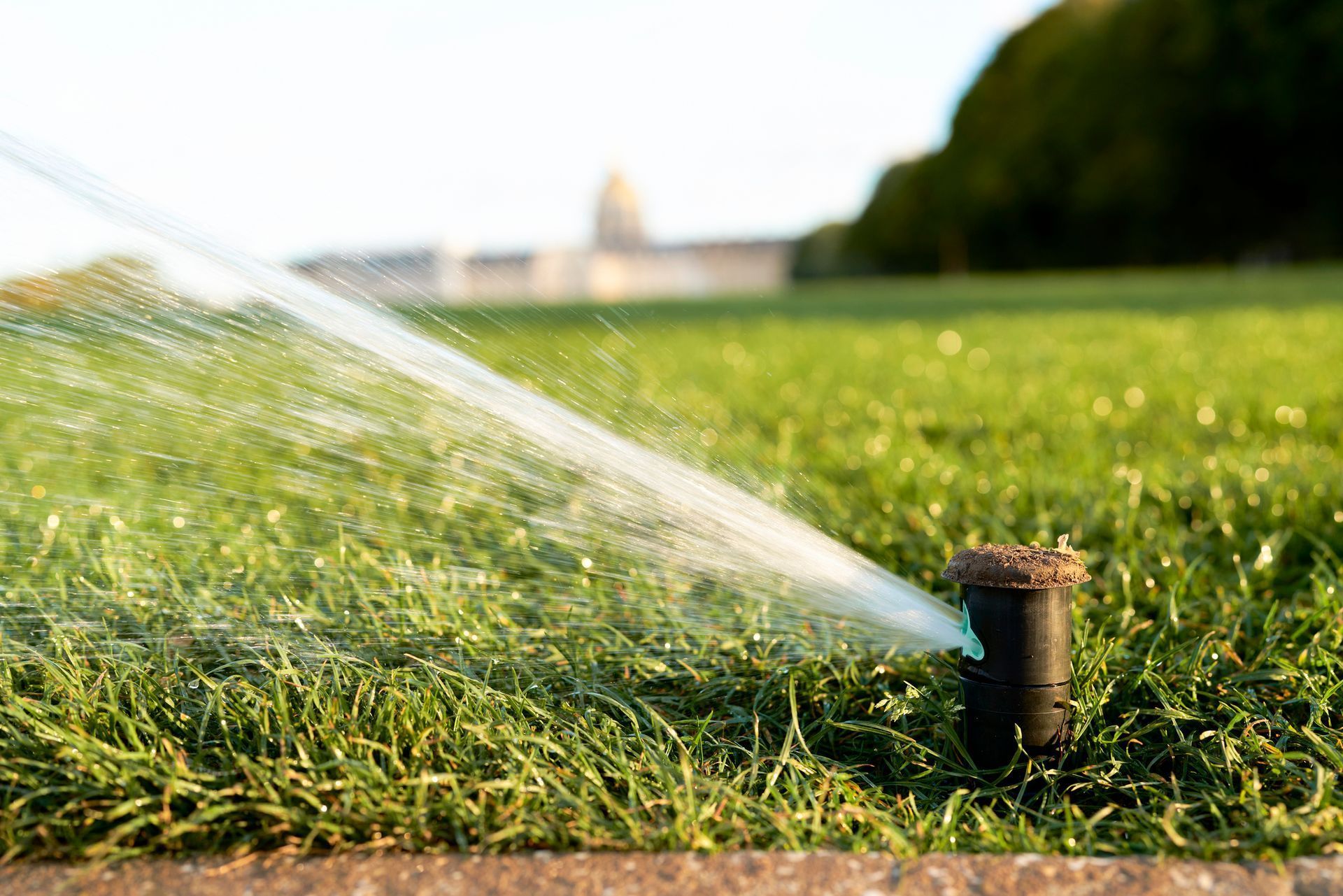 Sprinkler spraying water across a green lawn in a sunny yard