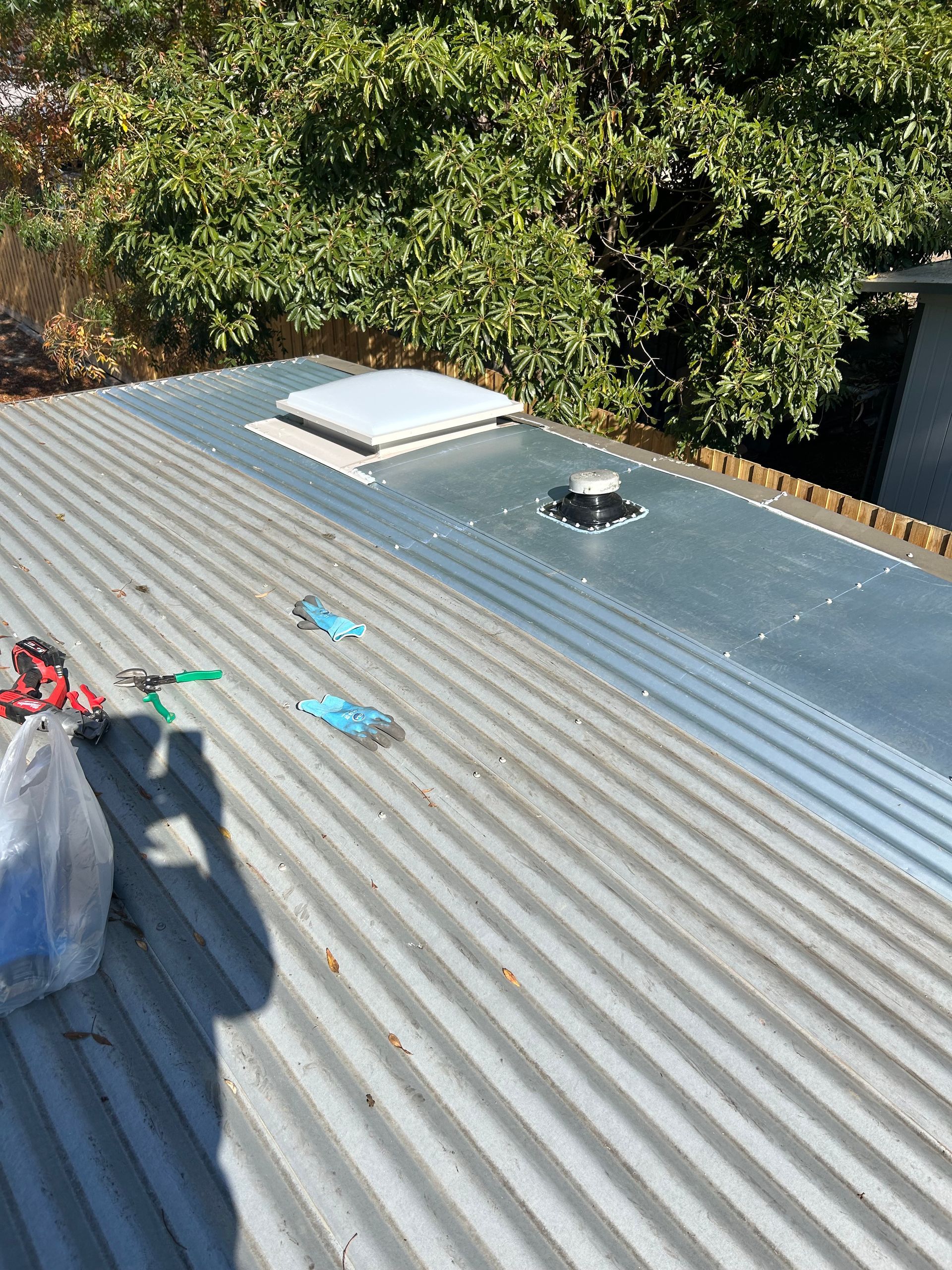 Corrugated metal roof with skylight and vent, overlooking trees in bright daylight