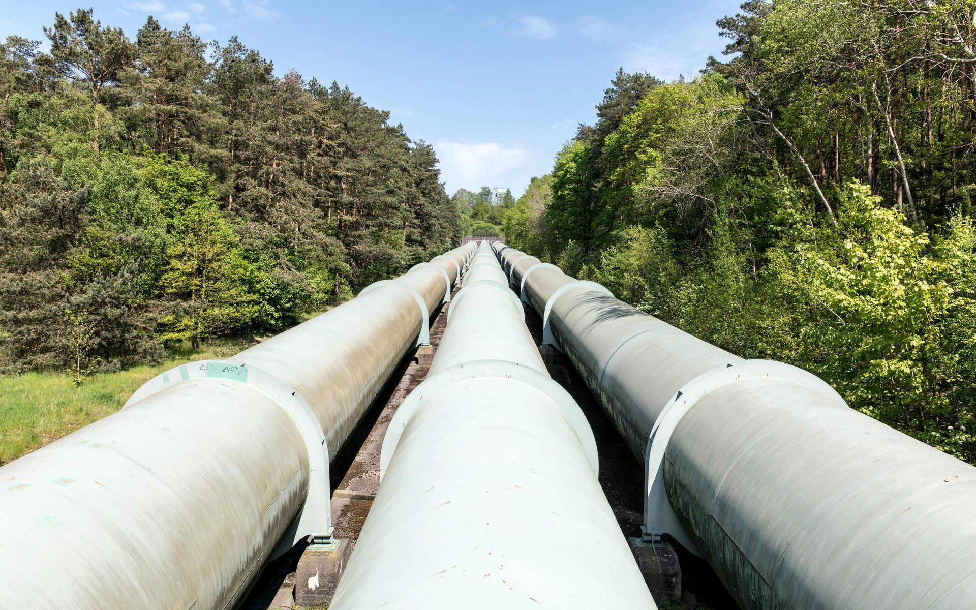 A row of pipelines going through a forest.